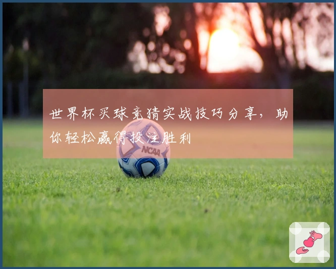 世界杯买球竞猜实战技巧分享，助你轻松赢得投注胜利