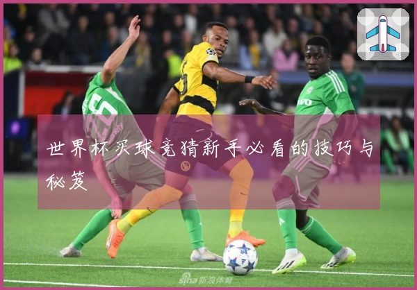世界杯买球竞猜新手必看的技巧与秘笈