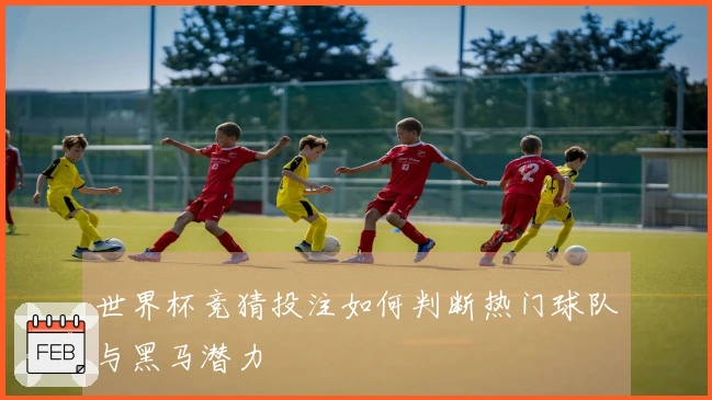 世界杯竞猜投注如何判断热门球队与黑马潜力