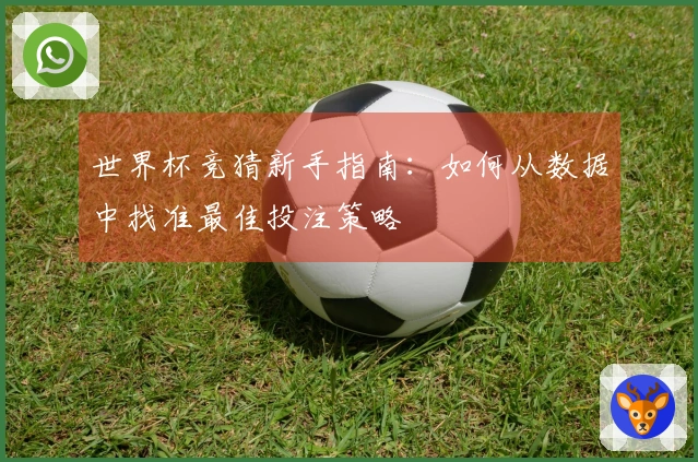世界杯竞猜新手指南：如何从数据中找准最佳投注策略