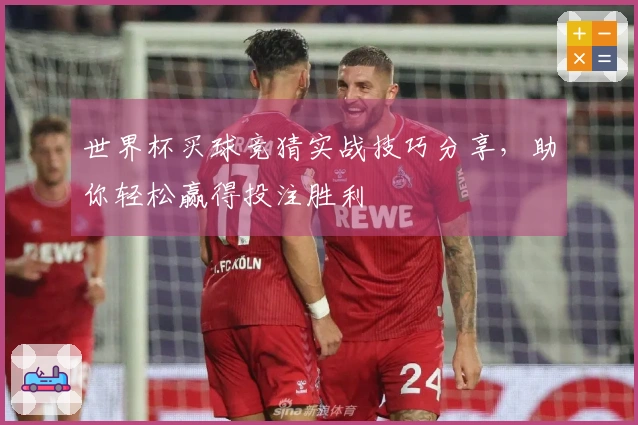世界杯买球竞猜实战技巧分享，助你轻松赢得投注胜利