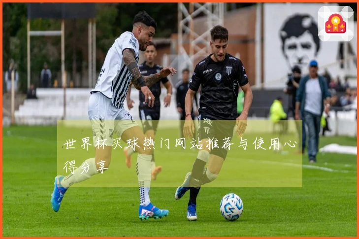 世界杯买球热门网站推荐与使用心得分享