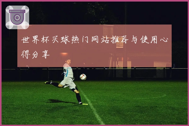 世界杯买球热门网站推荐与使用心得分享