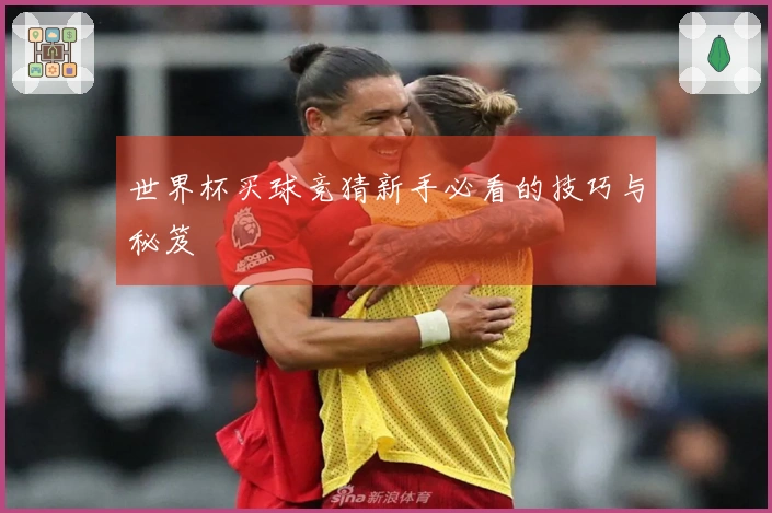 世界杯买球竞猜新手必看的技巧与秘笈