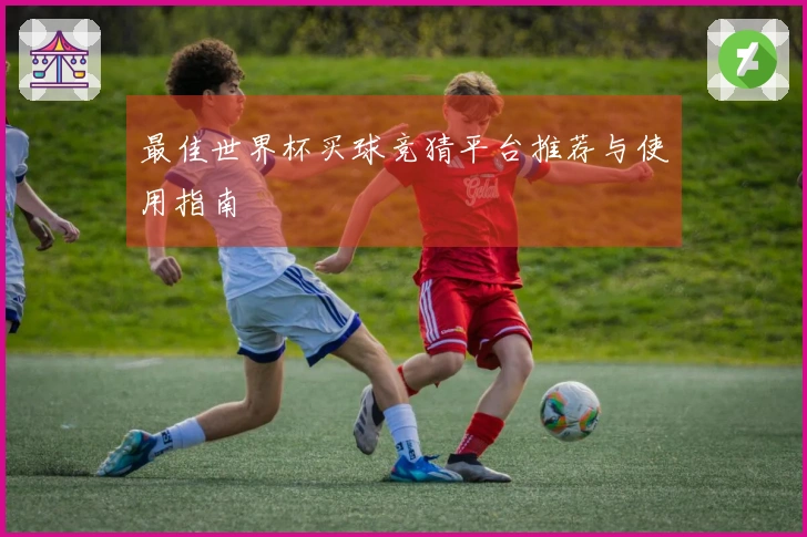 最佳世界杯买球竞猜平台推荐与使用指南