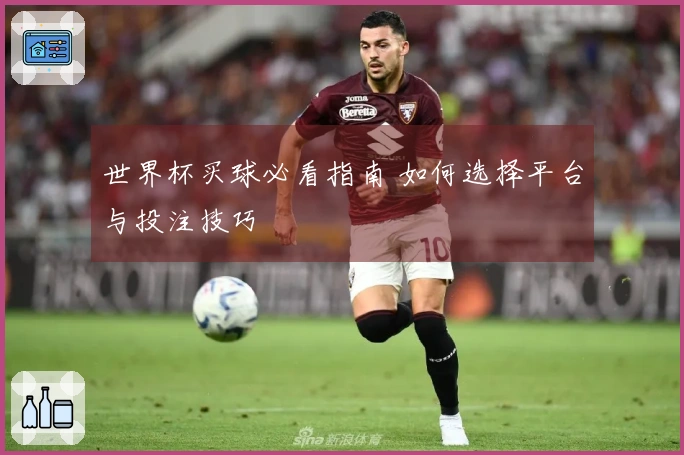 世界杯买球必看指南 如何选择平台与投注技巧