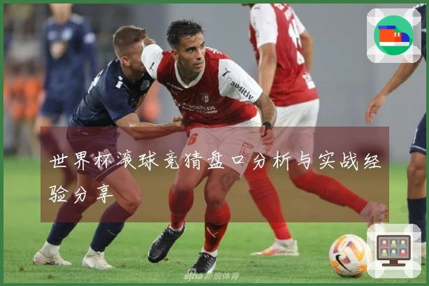 世界杯滚球竞猜盘口分析与实战经验分享