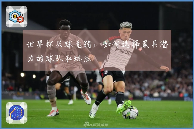 世界杯买球竞猜，如何选择最具潜力的球队和玩法